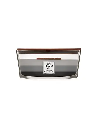 WOODWICK | Ellipsenkerze Knisterdocht 454g Triology Sun-Ripened Berries | grau